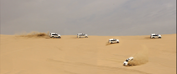 Aptech Qatar Desert Safari 2017